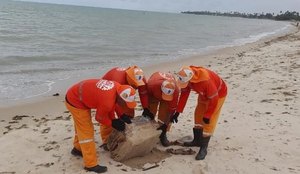 Caixa misteriosa é encontrada por banhistas em praia de Pernambuco