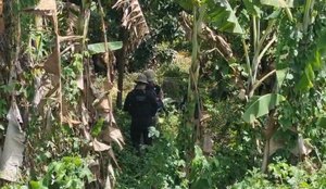 Whats App Image 2025 11 01 at 19 20 06