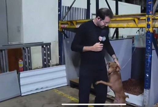 Paulo mathias adota cachorro chega mais sbt