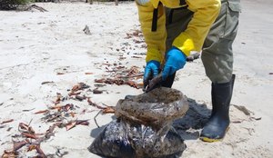 Equipes retiram 255kg de fragmentos de óleo de praias paraibanas