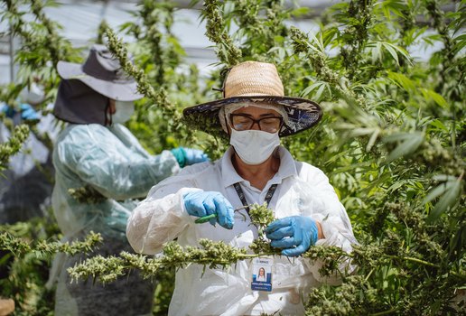 Whats App Image 2025 04 22 at 16 42 29