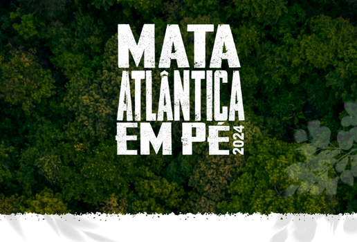 Capa site mata atlantica