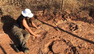 Pegadas de dinossauro de 125 milhoes de anos sao encontradas na Paraiba 1