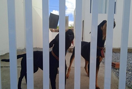 44e241af 6729 4d67 9f5f 893b87a26d5f