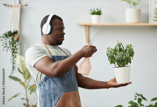Empreendedorismo