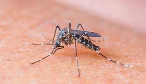 Foi apresentado ainda o 1º Levantamento Rápido de Índices de Aedes Aegypti .
