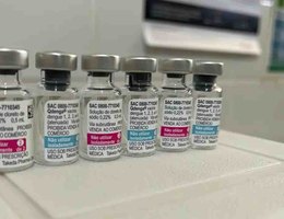 Vacina dengue