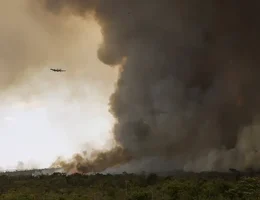 Queimadas Brasilia