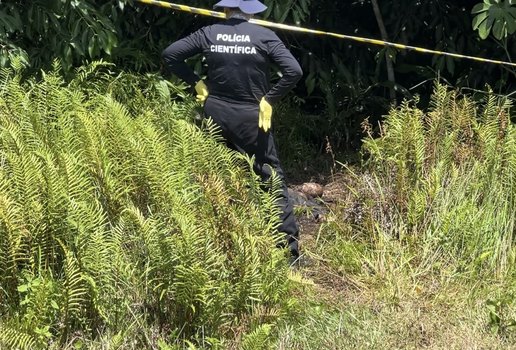 Corpo foi encontrado em uma área de vegetação.