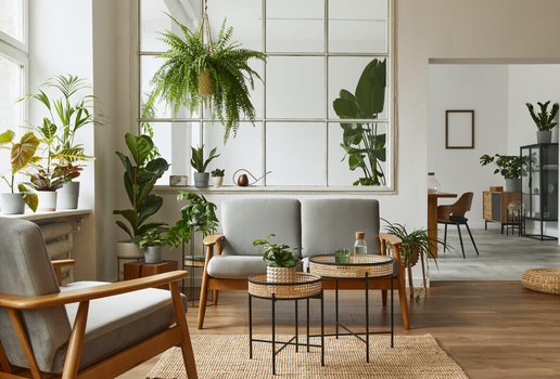Plantas na decoração oferecem conforto e bem-estar (Imagem: Followtheflow | Shutterstock)