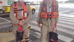 Caes busca bombeiros petropolis