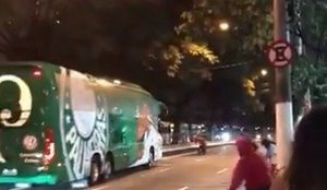 Palmeiras torcedores vandalos