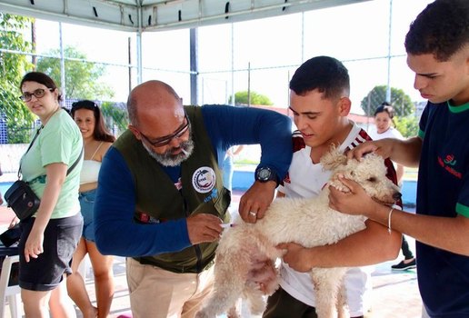 Campanha raiva animal