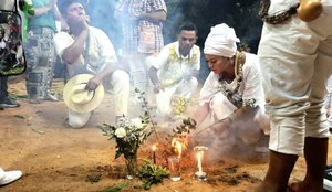 Jurema Sagrada 1 1024x640