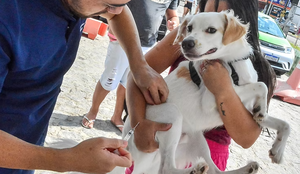 Vacinação contra Raiva Animal: João Pessoa disponibiliza 140 postos neste sábado (27)