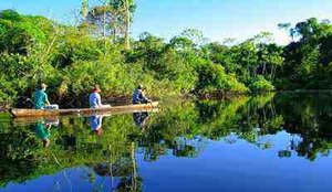 Amazonia peru