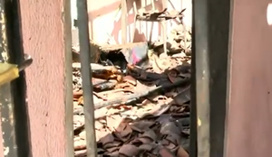 Incendio mangabeira