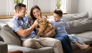 Alguns nomes são perfeitos para gatos carinhosos com os tutores (Imagem: fizkes | Shutterstock)