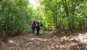 Jardim botanico de joao pessoa benjamim maranhao foto secom pb