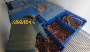 Captura de tela 2025 08 22 194842