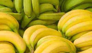 Bananas verdes emagrecem ate seis quilos e secam a barriga