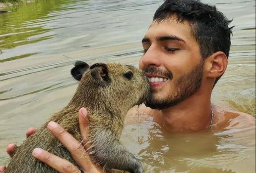 Capivara volta para influencer após decisão da Justiça do AM