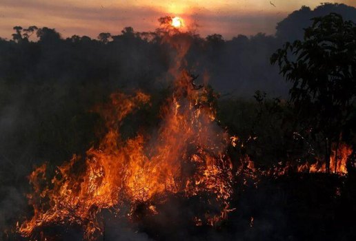 Incendio amazonas