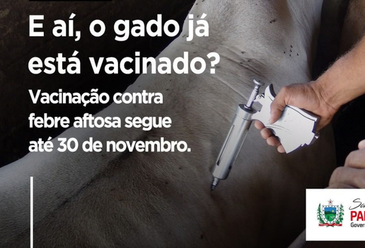 Segunda etapa da campanha de vacinação contra a Febre Aftosa.