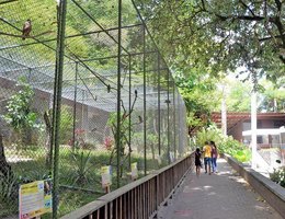 Quatro funcionários da Bica foram ouvidos nesta terça (13)