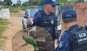 Missao cumprida o papagaio da Bica esta em seguranca Nesta segunda feira 7 a Guarda Civi 3