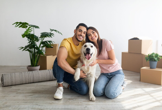Estratégias simples tornam a mudança na rotina dos pets mais leve (Imagem: Prostock-studio | Shutterstock)