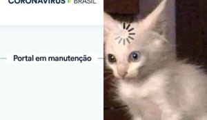 Dados coronavirus brasil urgente