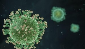 Variante do coronavírus já foi identificada em 20 países