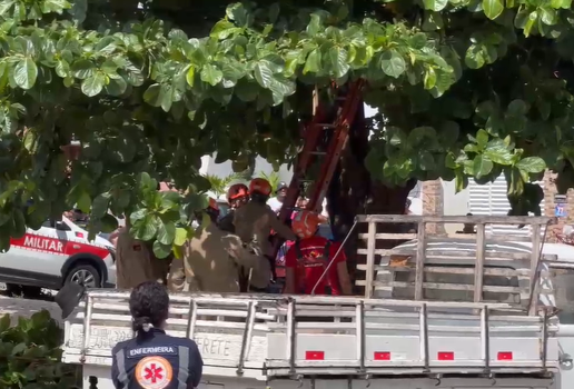 homem eletrocutado em uma árvore