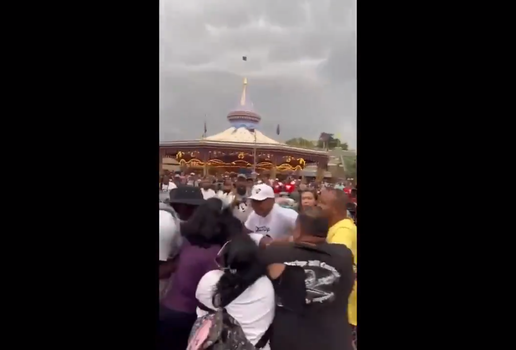 Vídeo mostra pancadaria generalizada em parque da Disney; veja