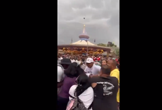 Vídeo mostra pancadaria generalizada em parque da Disney; veja