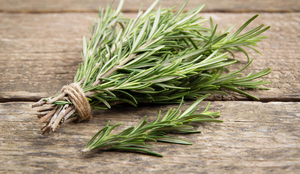 O alecrim consegue transmutar a energia do ambiente (Imagem: Nataliia K | Shutterstock)