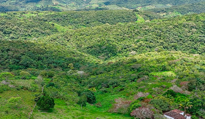 Operacao Mata Atlantica em Pe