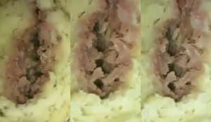 Larvas em pastel de forno