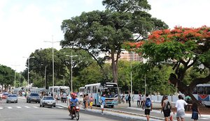 Paradas de ônibus da Lagoa do Parque Solon de Lucena sofrerão alteração devido às obras em plataforma