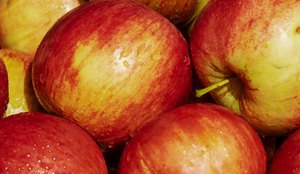 Conheça 12 benefícios surpreendentes da maçã para a saúde