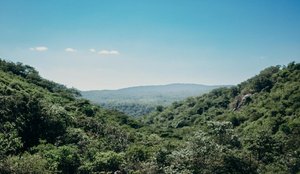 Desmatamento paraiba