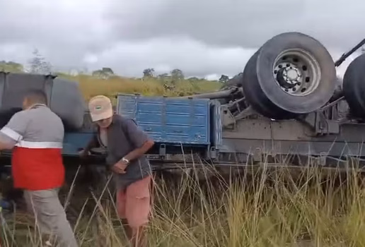 Reproducaopedrojunior