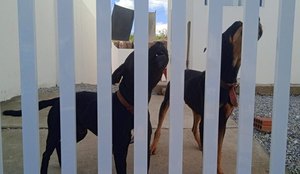 44e241af 6729 4d67 9f5f 893b87a26d5f