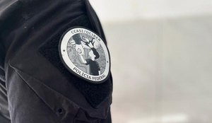 PF crimes ciberneticos