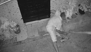 Whats App Image 2025 07 28 at 19 02 27