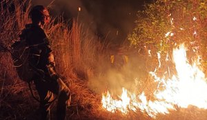 Incêndio no Parque Estadual da Paraíba completa 8 dias de combate