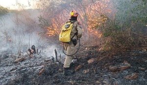 Força-tarefa tenta combater incêndio que atinge área de reserva no sertão da PB