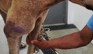 4a91fecf 68a9 42cf 8a5b 6ac687bf87f1