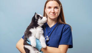 O sistema imunológico em formação torna os filhotes de pets mais suscetíveis a infecções, vírus e bactérias (Imagem: Andrii Spy_k
| Shutterstock)